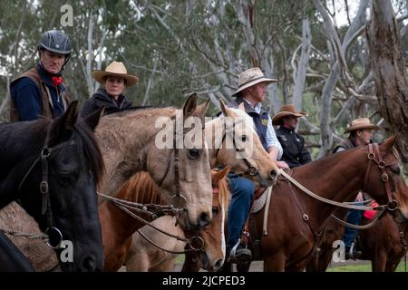 Stockmen ride their horses at the Kelpie Muster in Casterton, Victoria, Australia Stock Photo