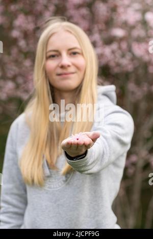 A woman holding pink cherry blossom flowers outdoors Stock Photo