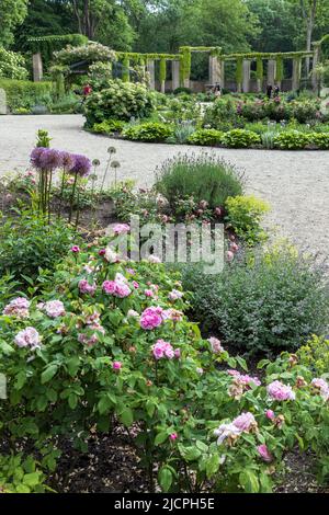 The Rose Garden in Tiergarten park, the largest park in Berlin,Germany, Deutschland, Europe Stock Photo