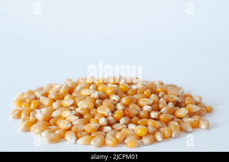Heap of organic, natural raw corn kernels for popcorn with shallow depth. Close up view of ripe corn seeds known as 'Zea Mays' isolated on white Stock Photo