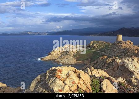 France, Corsica (20) Ile Rousse, the Genoese tower of the island of Piétra Stock Photo