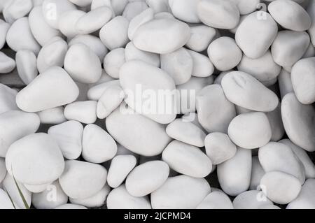 Natural texture. Background of white pebbles. Stock Photo