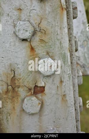 Screws on a high voltage pole Stock Photo
