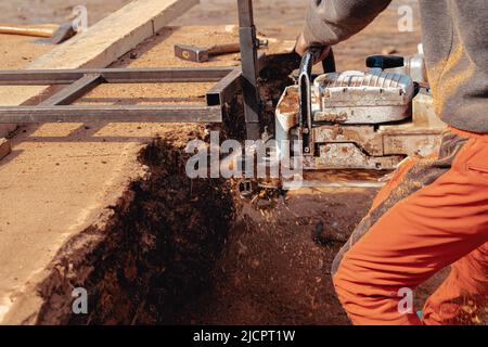 Closeup of lumberjack cutting tree trunk with giant chainsaw to make wooden planks Stock Photo