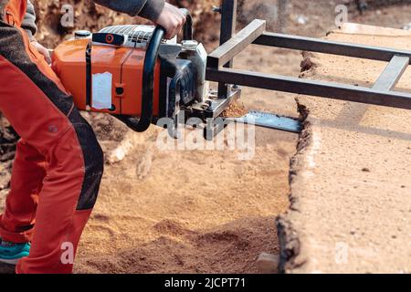 Closeup of lumberjack cutting tree trunk with giant chainsaw to make wooden planks Stock Photo