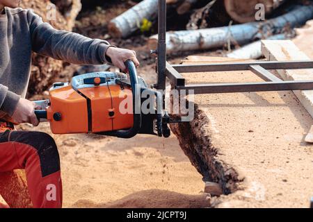 Closeup of lumberjack cutting tree trunk with giant chainsaw to make wooden planks Stock Photo