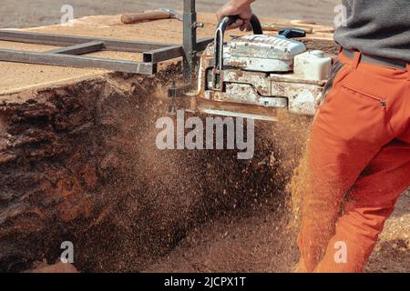 Lumberjack cutting tree trunk with chainsaw to make wooden planks Stock Photo