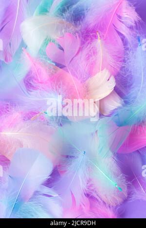 Background with decorative elements of multi-colored feathers, pink, blue, mint,purple colors Stock Photo