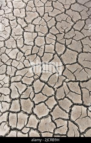 Drought, cracked mud. Germany Stock Photo
