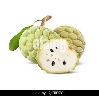 Cherimoya set. Isolated on white background. Sugar apple or custard apple with half. Realistic vector 3d illustration Stock Vector