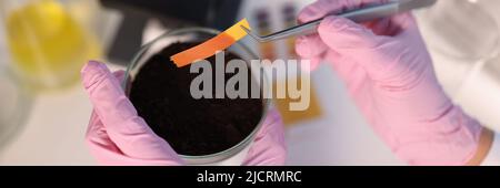 Scientist chemist checking soil acidity using litmus paper in laboratory closeup Stock Photo