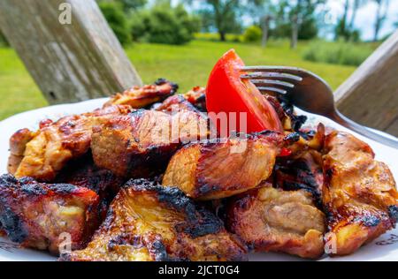 Steak on a plate with tomato and green grass background Stock Photo