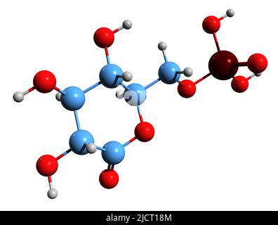 3D image of 6-phosphogluconolactone skeletal formula - molecular chemical structure of intermediate in the pentose phosphate pathway isolated on white Stock Photo