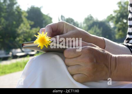 Woman in a white skirt sitting in a park holding a sketchpad and a yellow flower in her hands, cropped view. Concept of carefree. Stock Photo