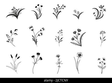 Set of tree branches, herbs and flowers silhouettes, vector flowers and twigs. Stock Vector
