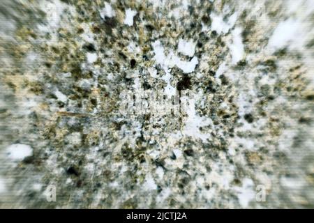 Old plastered wall with mildew stains and loose whitewash, cracks in the plaster. Macro Stock Photo