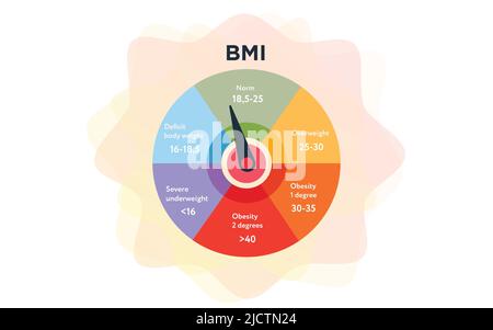 Colorful infographic obese chart on white background Stock Vector