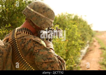 U.S. Marine with the combined anti armor team (CAAT), Weapons Company, 2d Battalion, 9th Marines, Regimental Combat Team 5, looks through his rifle co Stock Photo