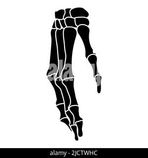Skeleton hands Human silhouette body bones - carpals, wrist, metacarpals, phalanges, front Anterior ventral view flat black color concept Vector illustration of anatomy isolated on white background Stock Vector