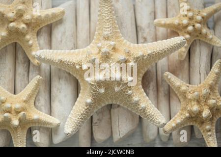 Decoration with starfish and driftwood hi-res stock photography and images  - Alamy