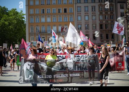 Munich, Germany. 04th June, 2022. More than 230 people gathered in Munich, Germany at the Animal Liberation March to protest against meat consumption, food of animal origin, hunting, leather and fury and for a vegan diet for everyone. (Photo by Alexander Pohl/Sipa USA) Credit: Sipa USA/Alamy Live News Stock Photo