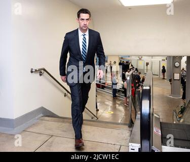 June 15, 2022, Washington, District of Columbia, United States: U.S. Senator TOM COTTON (R-AR) near the Senate Subway at the U.S. Capitol. (Credit Image: © Michael Brochstein/ZUMA Press Wire) Stock Photo