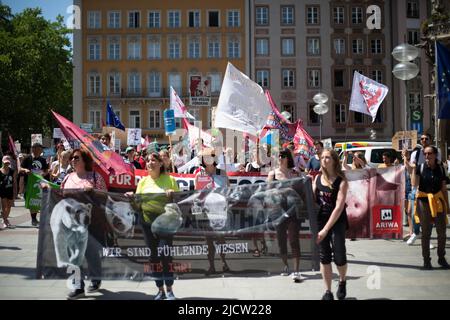 Munich, Germany. 04th June, 2022. More than 230 people gathered in Munich, Germany at the Animal Liberation March to protest against meat consumption, food of animal origin, hunting, leather and fury and for a vegan diet for everyone. (Photo by Alexander Pohl/Sipa USA) Credit: Sipa USA/Alamy Live News Stock Photo