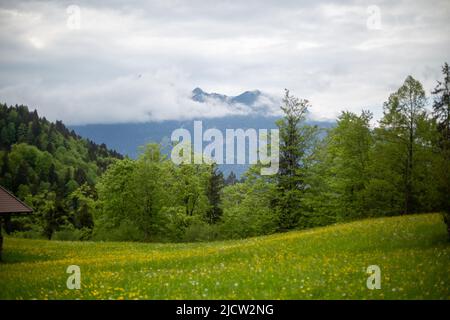 Garmisch Partenkirchen, Germany. 05th June, 2022. Hiking through the mountains around Garmisch-Partenkirchen, Germany. Schloss Elmau, close to Garmisch-Partenkirchen, will be venue of the G7 meeting at the end of June. Since months the region around Garmisch-Partenkirchen is preparing for the head of states of the seven largest industrial states and protests. (Photo by Alexander Pohl/Sipa USA) Credit: Sipa USA/Alamy Live News Stock Photo