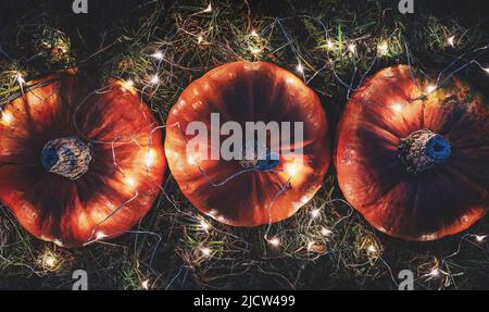 Pumpkins decorated with fairy lights, fall holiday night decoration Stock Photo