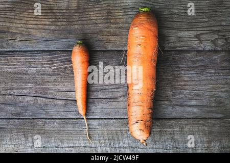 Big and small carrots, size matters concept, self esteem, self confidence and size issue Stock Photo