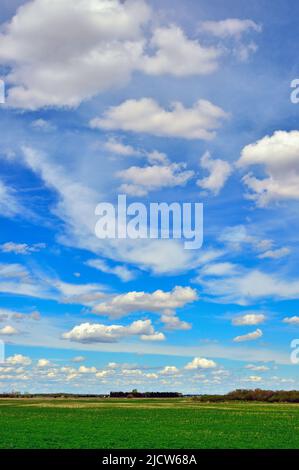 A vertical landscape of rural Alberta on a sun filled afternoon Stock Photo