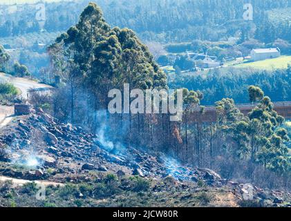 smoke plumes from a mountain fire in nature in rural Western Cape, South Africa concept wildfires in nature Stock Photo