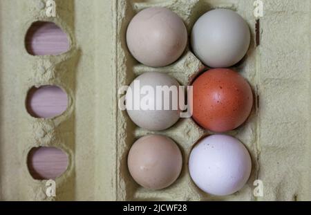 Araucana, brown and white eggs in package. Overhead shot Stock Photo