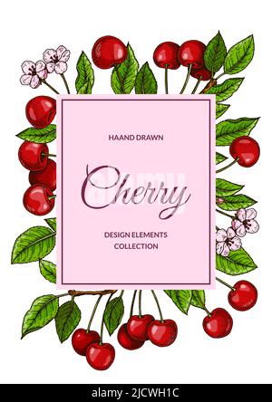 Colorful vertical cherry design. Vector illustration in colored sketch style Stock Vector