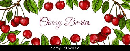 Colorful horizontal cherry design. Vector illustration in colored sketch style Stock Vector