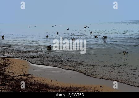 Abstract representation of ducks swimming on the sea Stock Photo