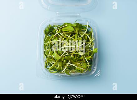 Sunflower shoots and sprouts in a plastic box on an empty background isolate. Green microgreen salad for eating. Healthy raw food, diet, vegan concept. High quality photo Stock Photo