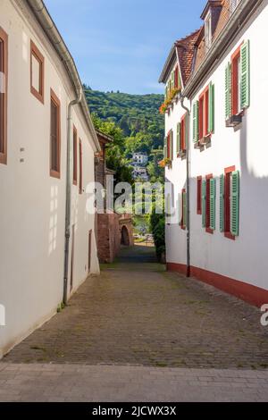 A beautiful old town alley in Heidelberg in southern Germany with typical buildings and view to the river Neckar and mountains on the other side of th Stock Photo