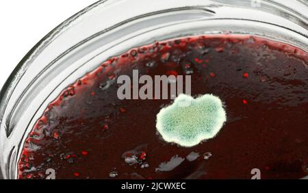 Close up of mold on jam Stock Photo