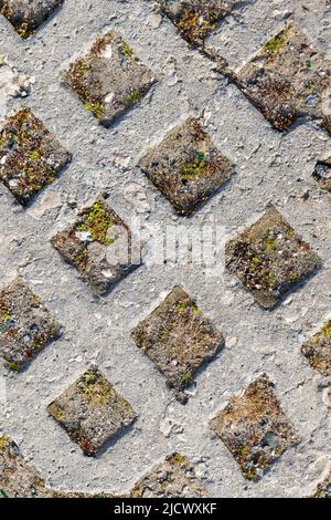 Background from the path from the old stone tiles in the shape of a rhombus strewn with earth and overgrown with vegetation Stock Photo