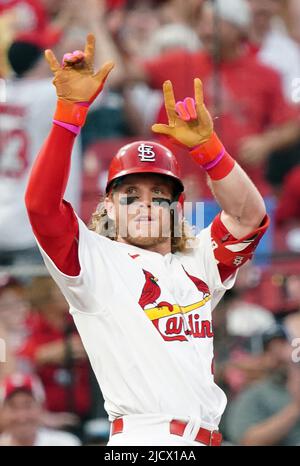 Harrison Bader (@aybaybader) • Instagram photos and videos  Stl cardinals  baseball, Mlb baseball players, Cardinals baseball