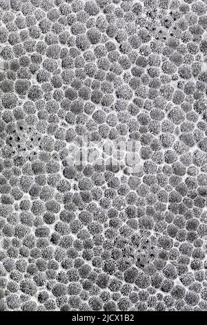 Abstract background from grey styrofoam ball texture with soft focus Stock Photo