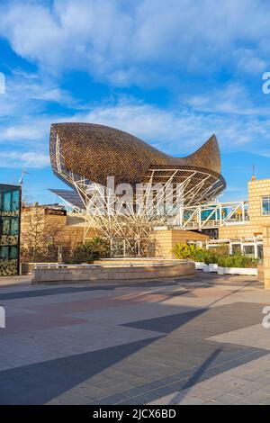 Peix (Fish), Frank Gehry, Barceloneta beach, Barcelona, Catalonia, Spain, Europe Stock Photo