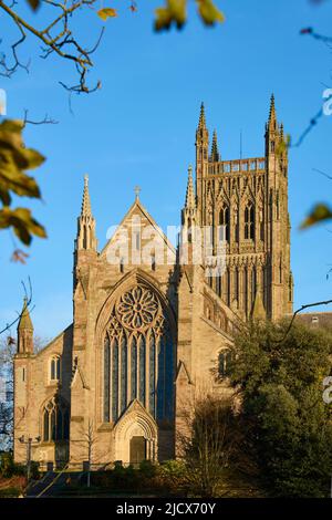 Worcester Cathedral, Worcester, Worcestershire, England, United Kingdom, Europe Stock Photo