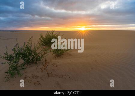 Sun rising over the rippled sand of desert under a cloudy sky, Corralejo Natural Park, Fuerteventura, Canary Islands, Spain, Atlantic, Europe Stock Photo