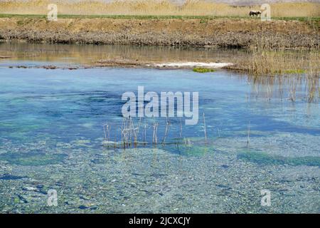 Headwaters place of the Sakarya river in Eskisehir Turkey that flows through Black sea Region Stock Photo