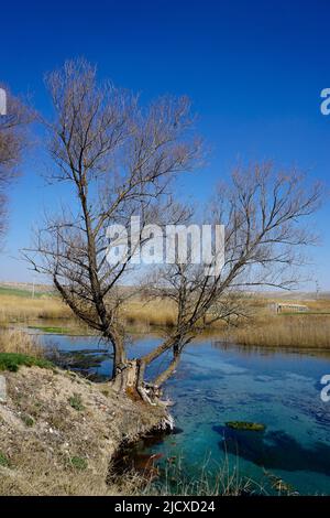 Headwaters place of the Sakarya river in Eskisehir Turkey that flows through Black sea Region Stock Photo
