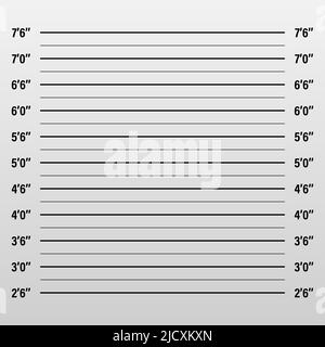 Police lineup or mugshot background. Stock Vector