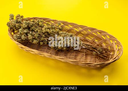 Bunch of dried oregano in wicker basket isolated on giallo background, typical aromatic herb for cuisine and for pizza Stock Photo