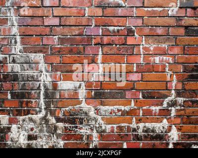 Full-frame view of a rain-soaked brick wall with efflorescence. Stock Photo